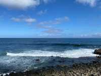 聖地牙哥 La Jolla 拉荷亞海灣 與海獅海豹一起賞日出