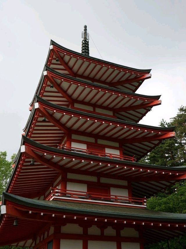 淺間神社的霧中相見🏔與富士山的未完之約⛰️