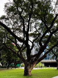 🇵🇭菲律賓馬尼拉阿亞拉三角公園