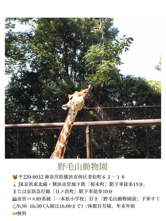 夏休みまだ間に合う！首都圏から日帰りで行ける動物園・水族館