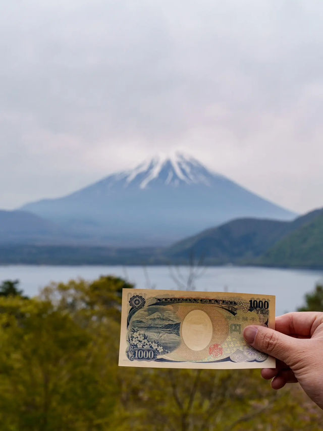 【富士山腳下｜仰望聖山的寧靜時光】