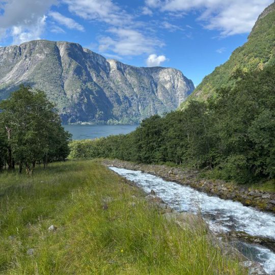 Sognefjord : Norway’s Majestic Fjord Wonderland