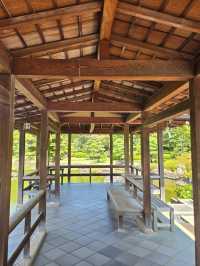【大阪】堺市　大仙公園 日本庭園カフェ