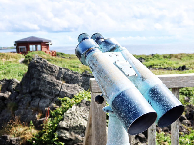 在「夢之浮島」 做了一場美麗的夢