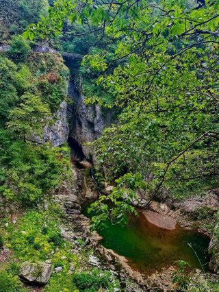 🌍 Škocjan Caves – Slovenia’s Underground UNESCO Wonder 🌍