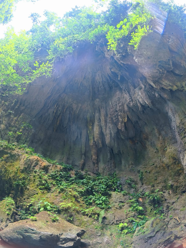 Kawasan Falls Adventure💦