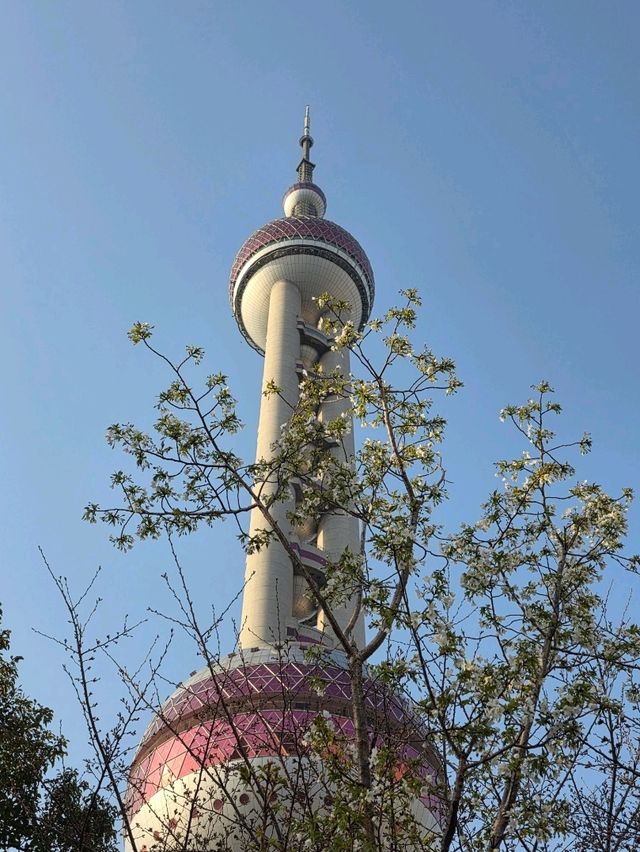 หอไข่มุก เซียงไฮ้ (Oriental Pearl Tower) หอไข่มุก เซียงไฮ้ (Oriental Pearl Tower)
