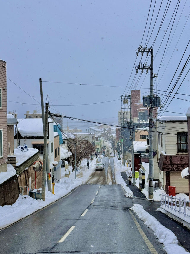 🏮 오타루 여행, 운하 따라 걷는 감성 항구 도시 🌊❄️