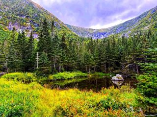 Conquer the Heights of Mount Washington 🏔️