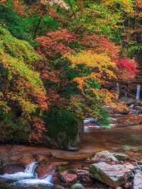 🍂 Guangwu Mountain – The Autumn Paradise of Sichuan 🍂