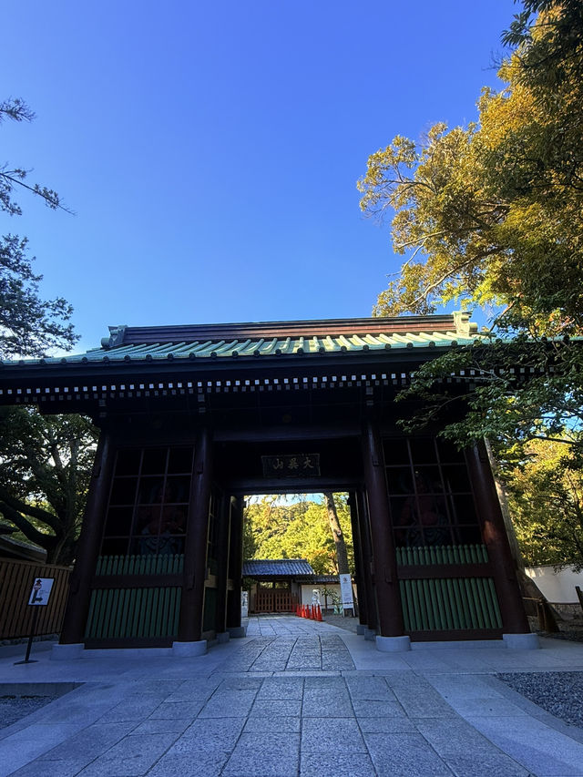 鐮倉｜經歷海嘯變露天大佛 鐮倉大佛曾被詩人比喻成美男子