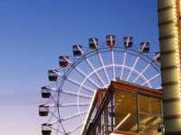From Opera House Views to Golden Beaches — Discovering Sydney