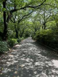 【大邱必訪秘境】前山公園纜車 × 雙觀景台 —— 在地人後花園，俯瞰全城最美全景！