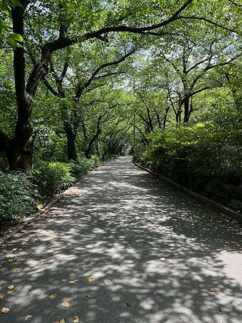 【大邱必訪秘境】前山公園纜車 × 雙觀景台 —— 在地人後花園，俯瞰全城最美全景！