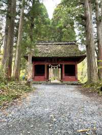 樹齢400年を超える杉並木 パワーを感じられずにはいられない