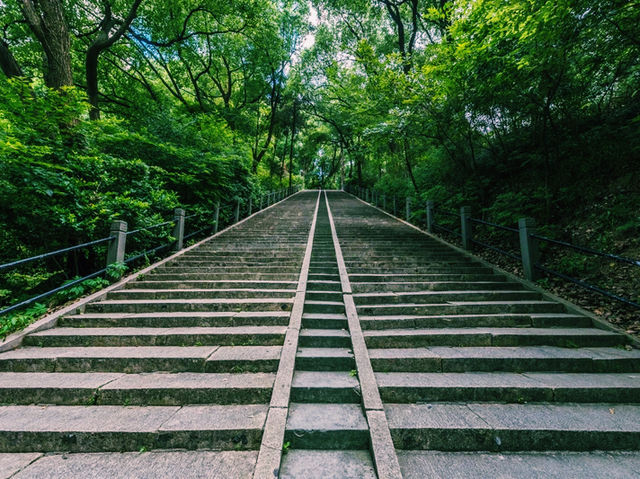 上海🇨🇳余山國家旅遊度假區