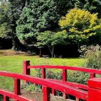 Upper Gardens