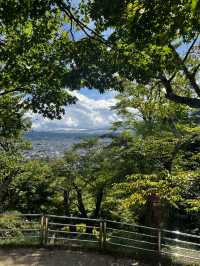 Chureito pagoda in front of Mountain Fuji 🌄🌄🌄