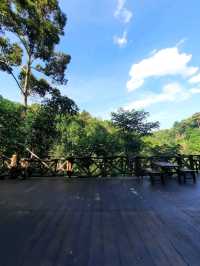 🌳 "บ้านต้นไม้" ที่พักและคาเฟ่สุดชิลล์ในเชียงดาว