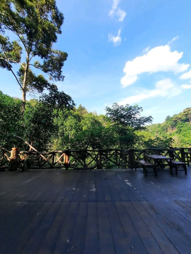 🌳 "บ้านต้นไม้" ที่พักและคาเฟ่สุดชิลล์ในเชียงดาว