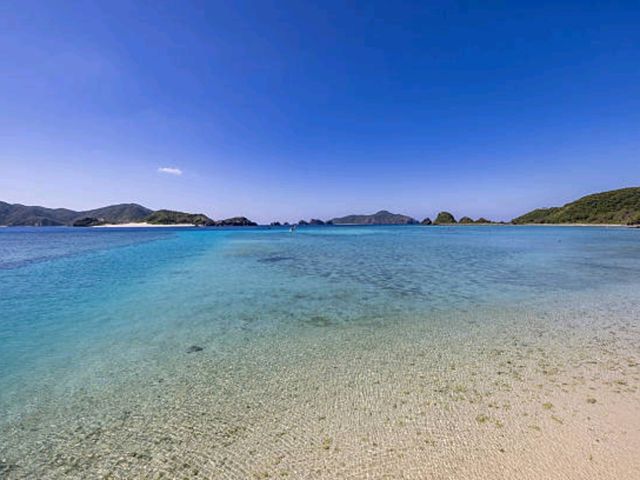 자마미 섬(座間味島) – 고래와 함께하는 바다 자마미 섬(座間味島) – 고래와 함께하는 바다