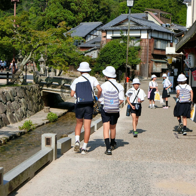 海中島居+海上神社+神之使者一在嚴島神社散策