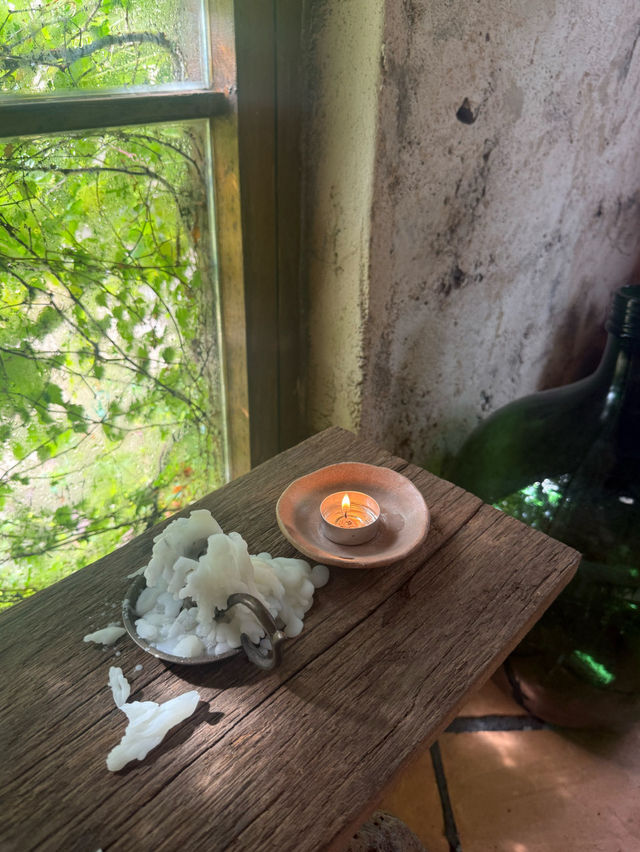 🌳💕제주도 // 제주카페 세러데이아일랜드 