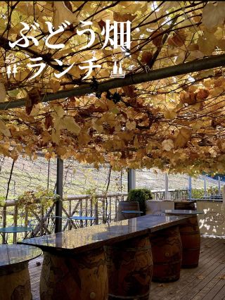 Autumnal vineyards, delicious wine and lunch