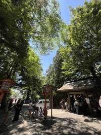 【秋日限定】淺間公園的夢幻畫面