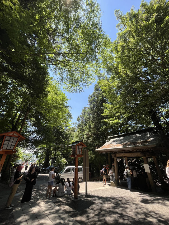 【秋日限定】淺間公園的夢幻畫面