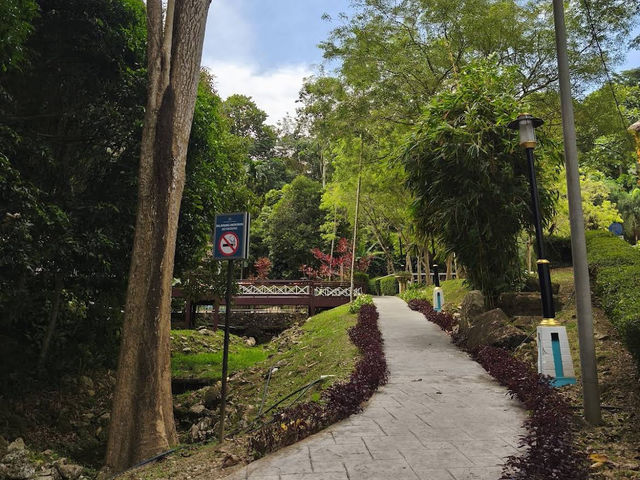 🌿 Nature Break at Taman Awam Metropolitan Relau