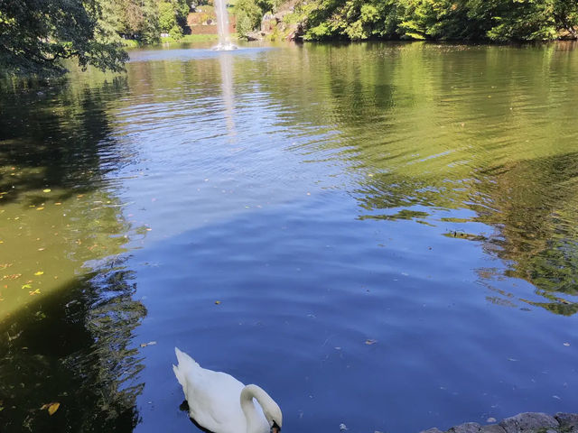 Arboretum Sofiyivka