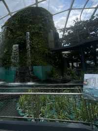 MANILA OCEAN PARK & BIODOME BLISS