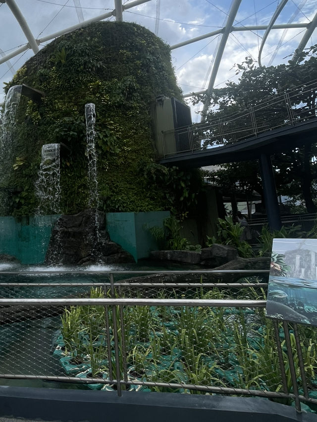 MANILA OCEAN PARK & BIODOME BLISS