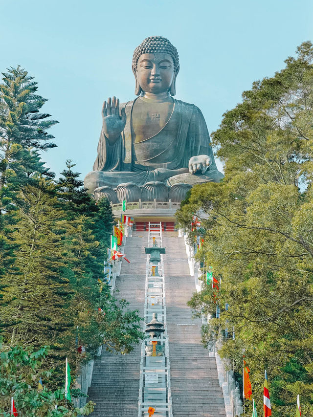 Sunny Dharma Bliss🌞 Sunny Dharma Bliss🌞