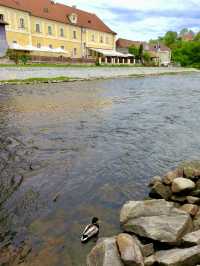 Old Town Haven🌟  Penzion U Galerie – A Hidden Riverside Gem in Český Krumlov