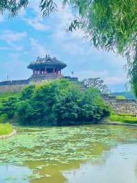🏯🌸 “수원 역사여행 – 수원화성과 방화수류정”