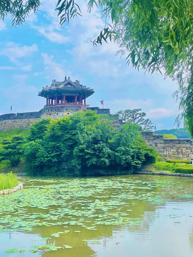 🏯🌸 “수원 역사여행 – 수원화성과 방화수류정”