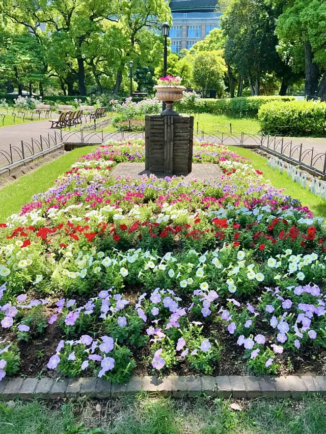 🌸 Bloom & Beauty in Hibiya Park