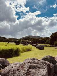 A Profound Homage to Jeju's Stone Culture
