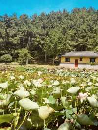 A Secluded Haven for Quiet Reflection