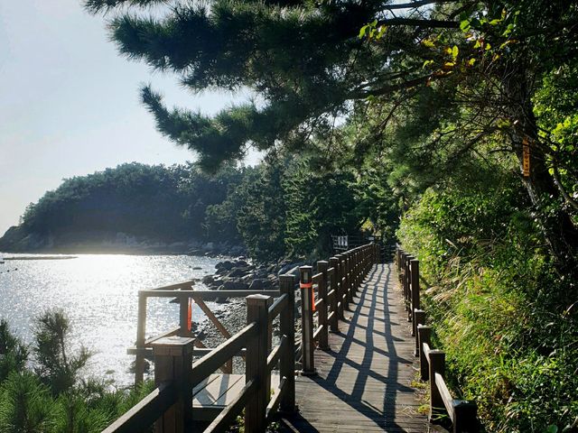 바다 위 흔들다리 🌊금오도 비렁길