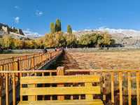 Autumn View from the Ancient City