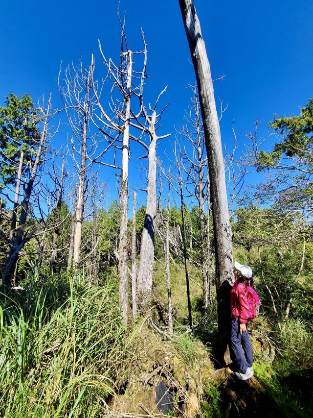 薄霧中的藍寶石——翠峰湖與望洋山漫步記