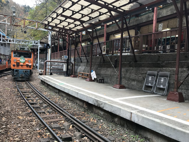 【富山・黒部】トロッコ列車の旅へ！黒部渓谷鉄道・宇奈月駅🚂🍁