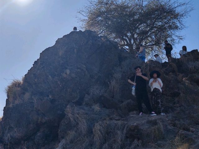 Komodo Wonders🌿 One Day Trip