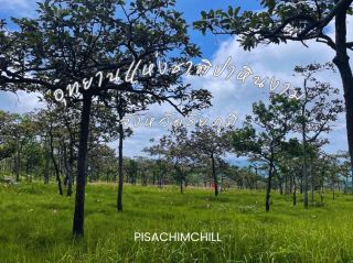 อุทยานแห่งชาติป่าหินงาม จังหวัดชัยภูมิ