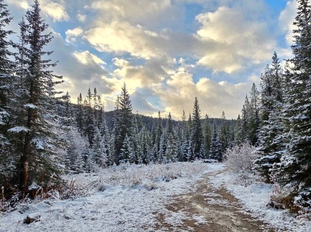 Johnston Canyon