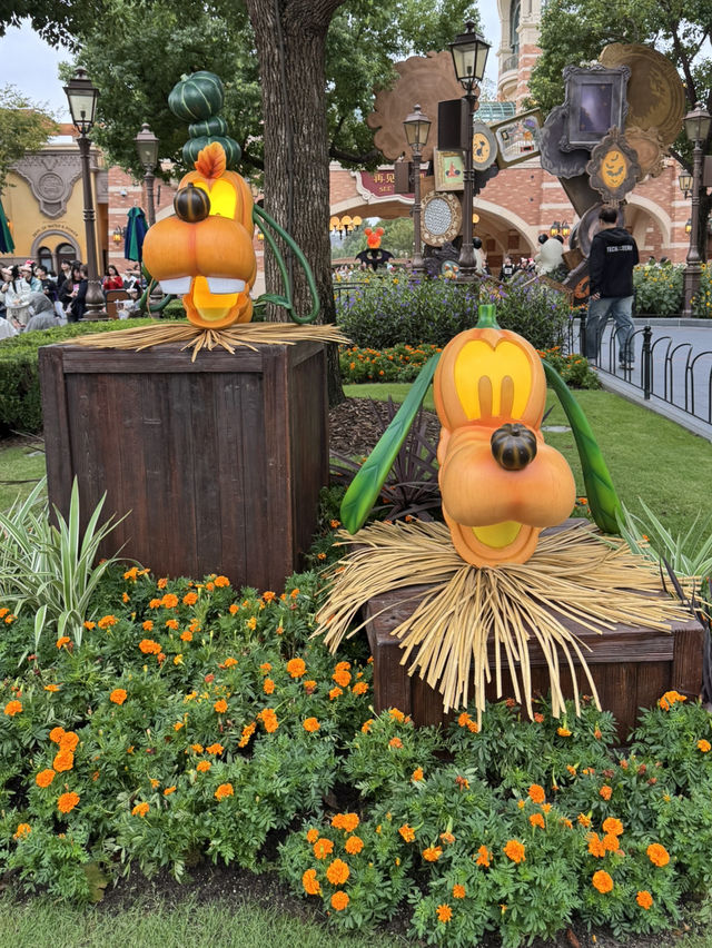 Halloween衣装がが可愛すぎるキャラクターグリーティング Halloween衣装がが可愛すぎるキャラクターグリーティング