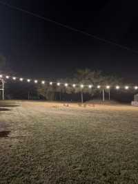 강아지랑 갈수있는 애견동반 펜션